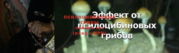 МДПВ Арсеньев